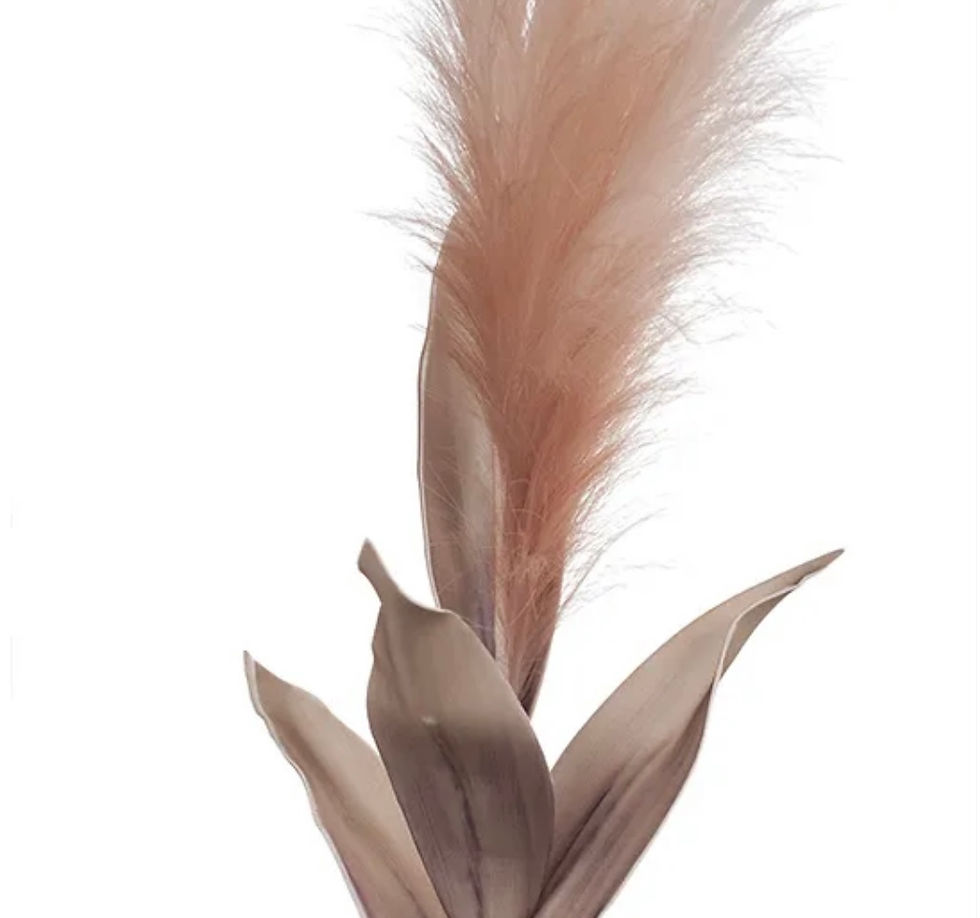 Thumbnail: Pampas Grass Spray with Leaf (blush pink)