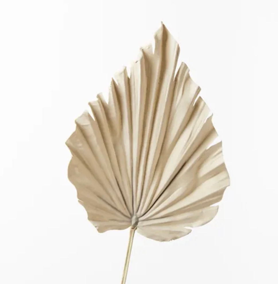 Palm Fan Spear (natural)