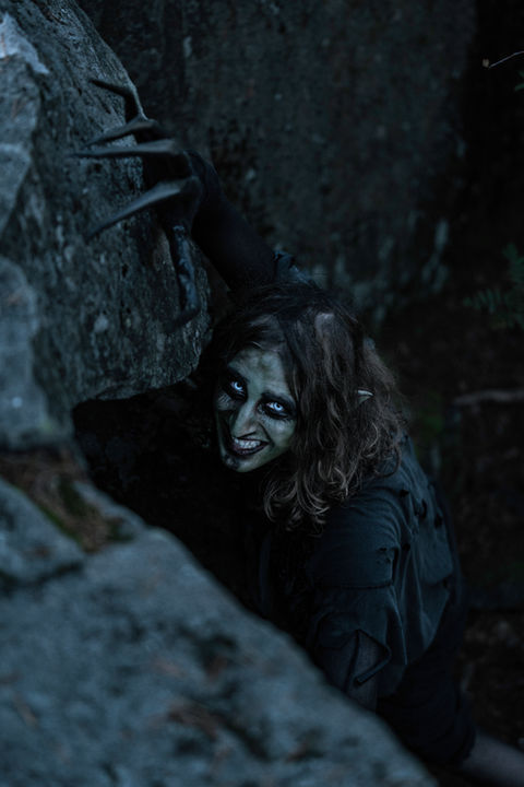 Vihreä olento kiipeää ronton seinämää pitkin kameraa kohti kammottava irvistys kasvoillaan. Sen terävät hampaat kiiltävät iltaisen metsän hämärässä.
A green creature climbs the wall of a hollow towards the camera with a creepy grimace on its face. Its sharp teeth gleam in the evening forest darkness.