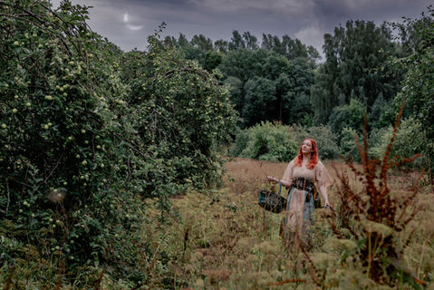 Fantasiakuva punatukkaisesta haltijatytöstä kävelemässä pellolla omenapuiden keskellä. Yötaivaalla on kuunsirppi sumuisten pilvien takana.
Fantasy photo of a red haired elf girl walking in the field amongst the apple trees. Night sky has a moon crescent behind the misty clouds.