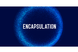 Encapsulation