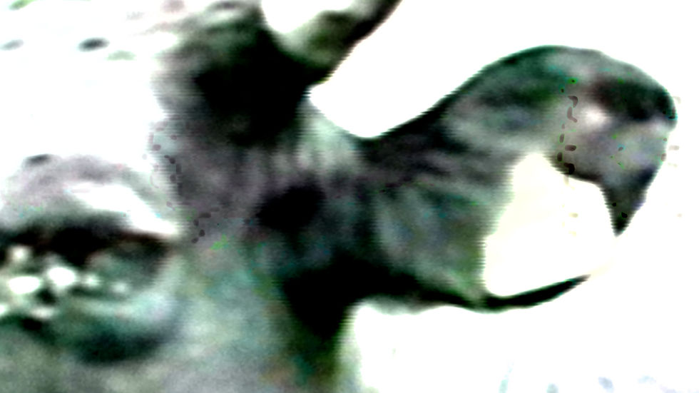 untitled-dittico-luca-staccioli-still-frame-2.jpg