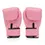 Thumbnail: Fairtex Muay Thai Boxing Gloves - BGV1 Pink