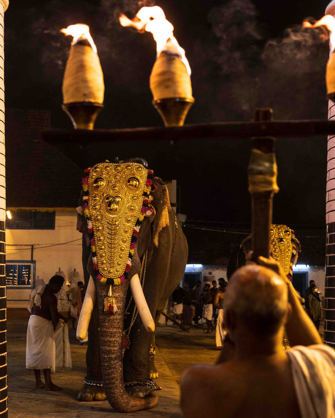 Festival procession with elephants and musicians during Vrischikotsavam at Sree Poornathrayeesa Temple, Tripunithura, Kerala