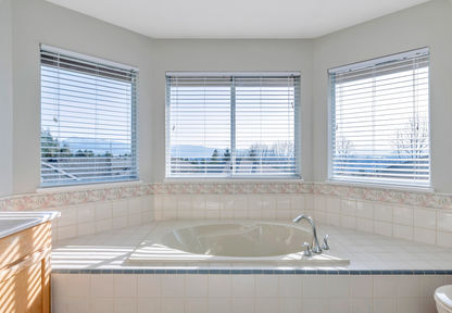 Primary Bath with view.jpg