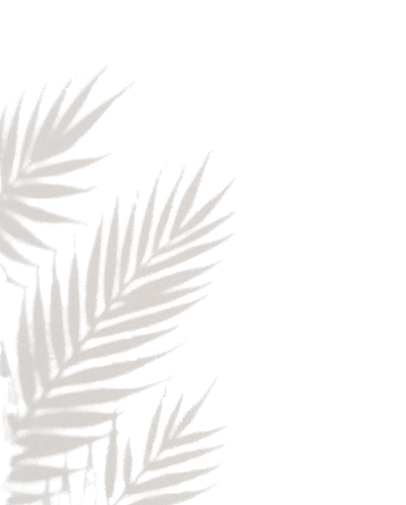 Hawaii Palm Tree leaves