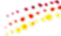 Wilga Indigenous Corporation artwork.