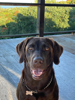 Coco