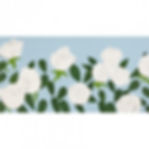 Alex Katz White Roses 2014