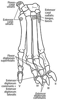 fig-11-2x_edited.jpg
