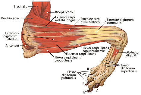 fig-6-2x_edited.jpg