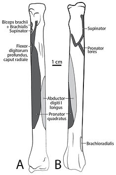 fig-10-2x_edited.jpg