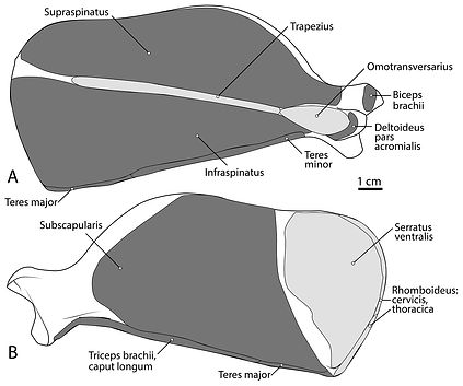 fig-3-2x_edited.jpg