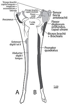 fig-9-2x_edited.jpg