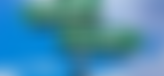 Boersly Weekly: Is This a Bear Market Rally?