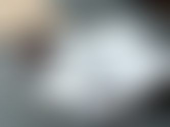 Expert Human Resource Guidance for Small Businesses