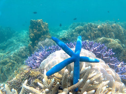 Exploring Lombok: A Hidden Gem Beyond Bali