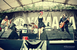 Viva Festival (4)