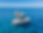 Powerboat Charter