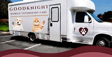 Truck with maroon waves and logo (920 x 160 px).png
