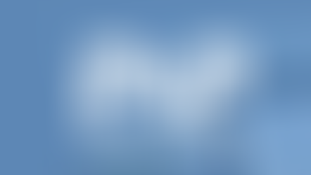 The Parent and Professional