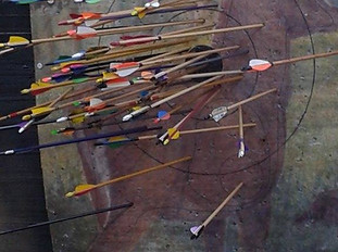 A target of a deer covered in different coloured arrows