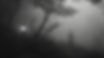 mysterious-character-forest.jpg