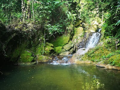 tartain waterfall koh samui