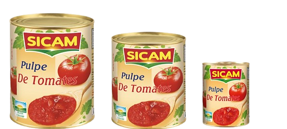 Capture-removebg-preview (3)_edited.png