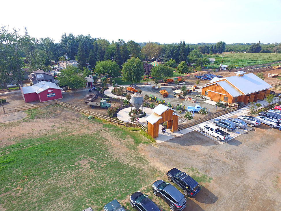 bishops-pumpkin-patch-blog01.jpg