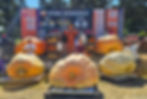 National Pumpkin Weigh Off 2025 Top 5 Winners.jpg