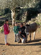 Esel mit Kindern