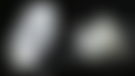 Translucent Fried Chicken Wings Go Viral