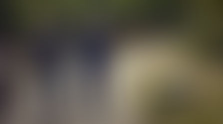 Apple Names John Ternus Chief Executive Officer; Tim Cook Becomes Executive Chairman