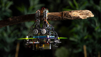 New TU Delft Drone Uses Touch for Quieter, Longer Flights