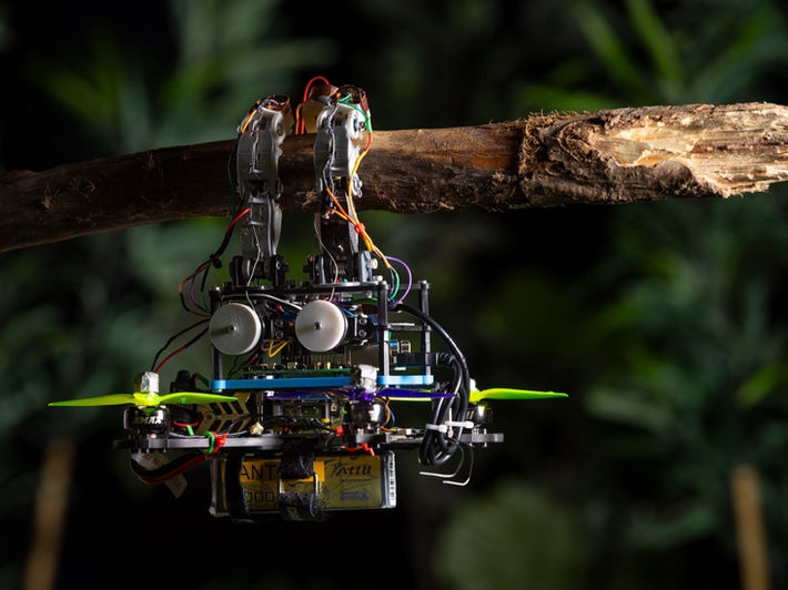 New TU Delft Drone Uses Touch for Quieter, Longer Flights