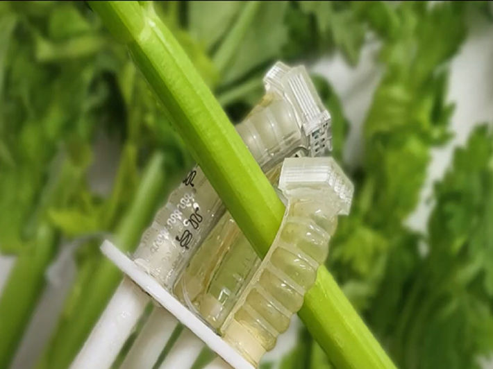 Compostable Robot Endures Million Cycles, Disappears into Soil