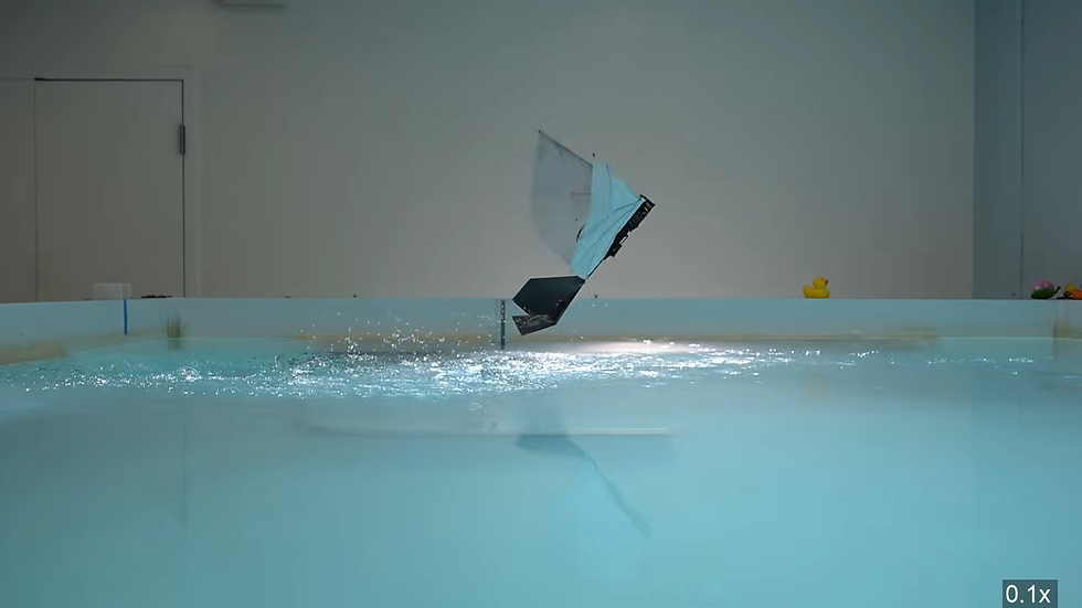MIT, EPFL Develop Puffin-Inspired Robot That Flies and Swims