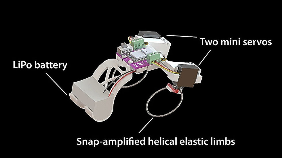 Credit: Dezhong Tong, University of Michigan/UCLA