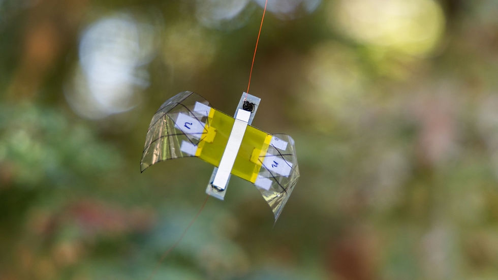 Soft Robot Masters Flight, Survives Impacts