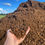 Thumbnail: SwiftGrow Mulch, Fertiliser & Soil Conditioner