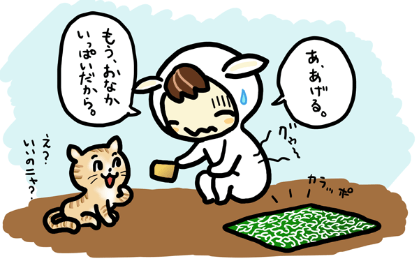 最後の一枚