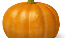 Announcing the Fall Fling!