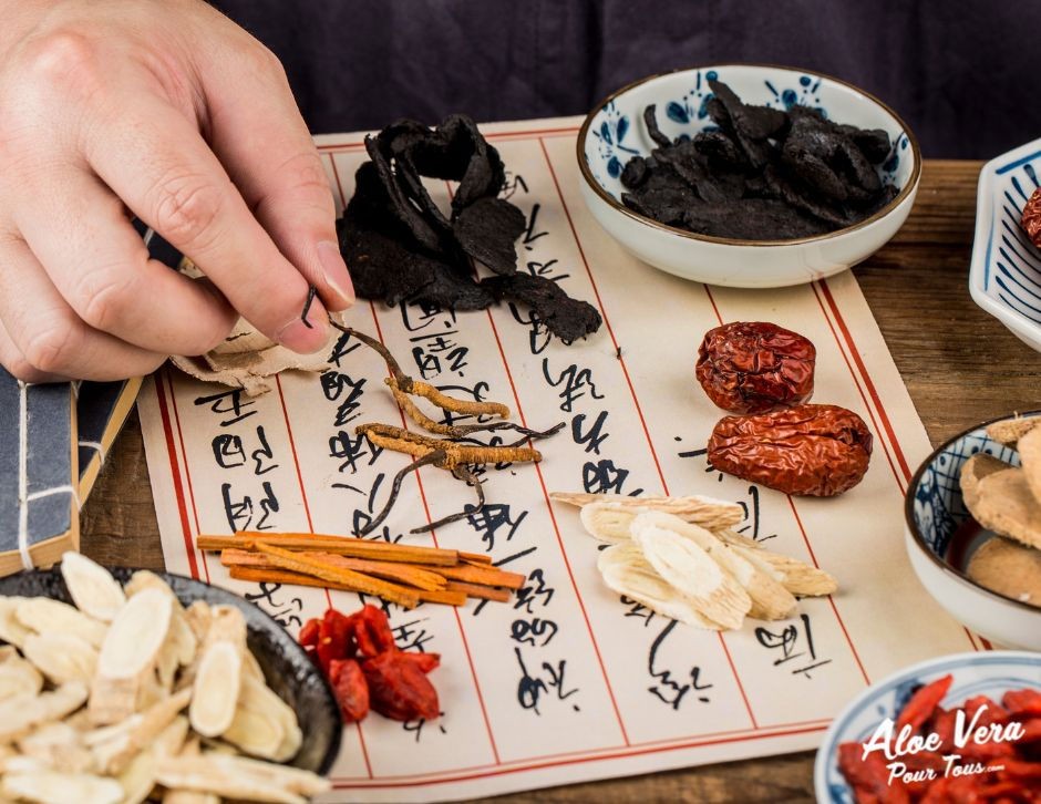 Medecine chinoise : Un changement de saison qui bouscule l'organisme