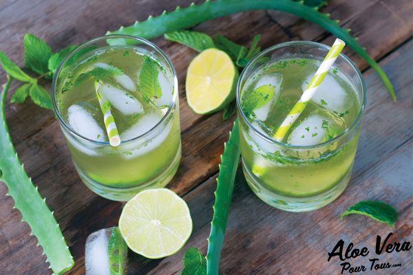 Jus aloe vera | Mojito Aloe Vera, Citron Vert et Menthe