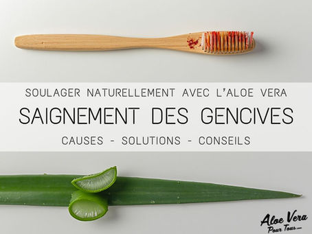 Saignement des Gencives : Causes et Solutions Naturelles à Base d’Aloe Vera