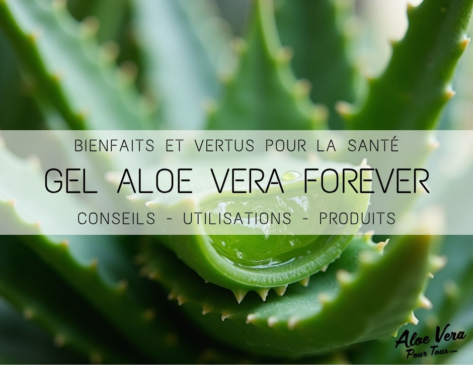 Découvrez les Vertus du Gel Forever Aloe Vera : Bienfaits pour la Santé