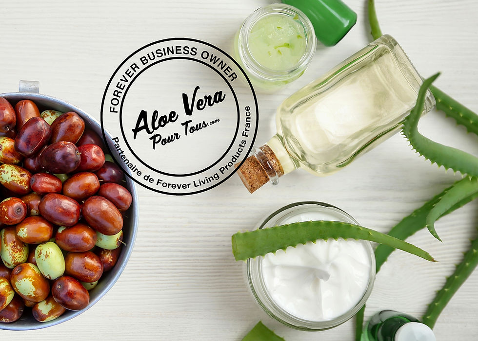huile de jojoba | l'aloe vera et l'huile de jojoba