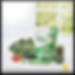 Forever Supergreens | Système immunitaire | Vitamines | Magnésium | Antioxydants