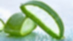Pulpe d'aloe vera